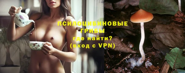 дмт Алексин