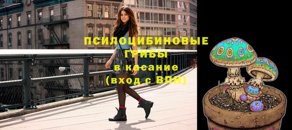дмт Алексин