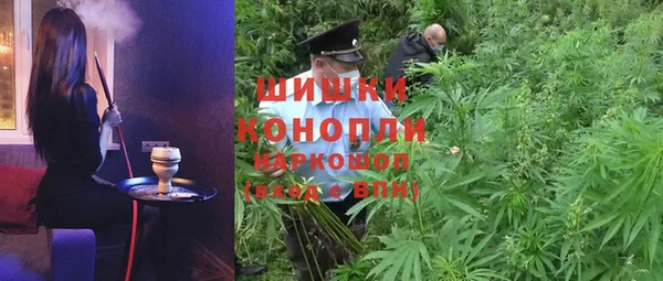 дмт Алексин