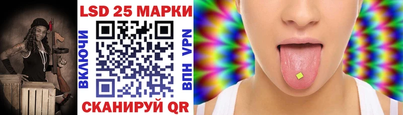 дарнет шоп  Карачаевск  Марки N-bome 1,5мг 